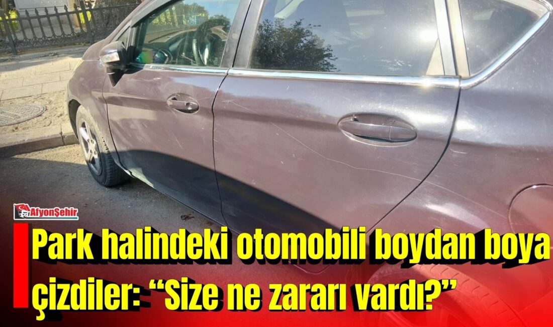 Park halinde bulunan bir otomobil, kimliği belirsiz kişi ya da
