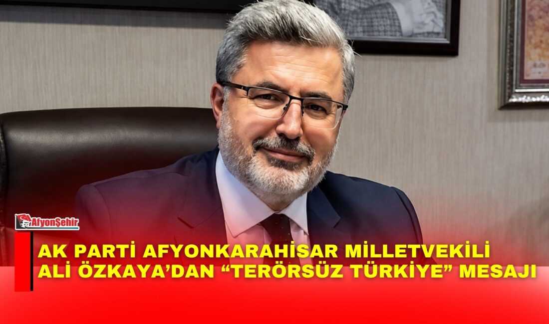 AK Parti Afyonkarahisar Milletvekili Ali Özkaya, Türkiye Büyük Millet Meclisi’ne