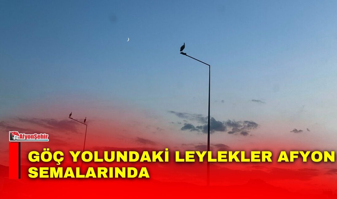 Yaz mevsimini Afyonkarahisar’da geçiren leylekler, havaların değişmesiyle birlikte güneye doğru