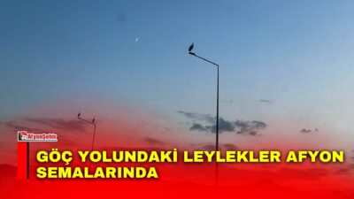 Yaz mevsimini Afyonkarahisar’da geçiren leylekler, havaların değişmesiyle birlikte güneye doğru