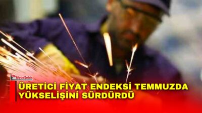 Türkiye İstatistik Kurumu (TÜİK), 2026 yılı Temmuz ayına ilişkin Yurt