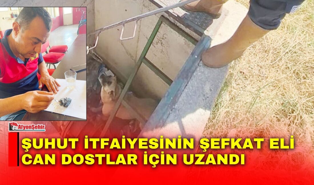Şuhut Belediyesi İtfaiye Müdürlüğü ekipleri yangınlarla mücadele ederken yalnızca alevlere