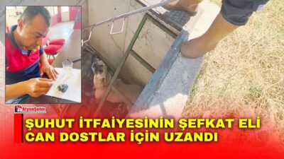 Şuhut Belediyesi İtfaiye Müdürlüğü ekipleri yangınlarla mücadele ederken yalnızca alevlere