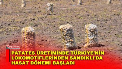 Türkiye’nin önemli patates üretim merkezlerinden biri olan Afyonkarahisar’ın Sandıklı ilçesinde