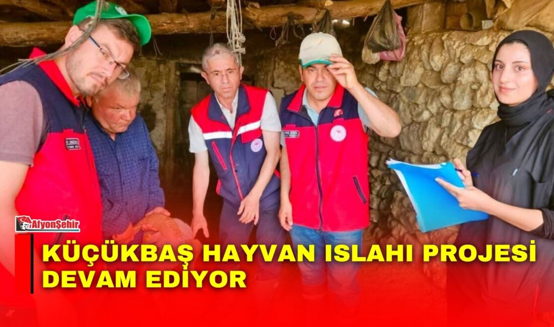 Afyonkarahisar’ın Bolvadin ilçesinde Halk Elinde Küçükbaş Hayvan Islahı Projesi çerçevesinde