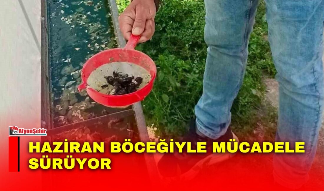 Afyonkarahisar’da tarımsal üretimde verim ve kaliteyi olumsuz etkileyebilen zararlılarla mücadele