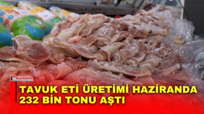 Türkiye İstatistik Kurumu (TÜİK), Haziran 2026 Kümes Hayvancılığı Üretimi verilerini