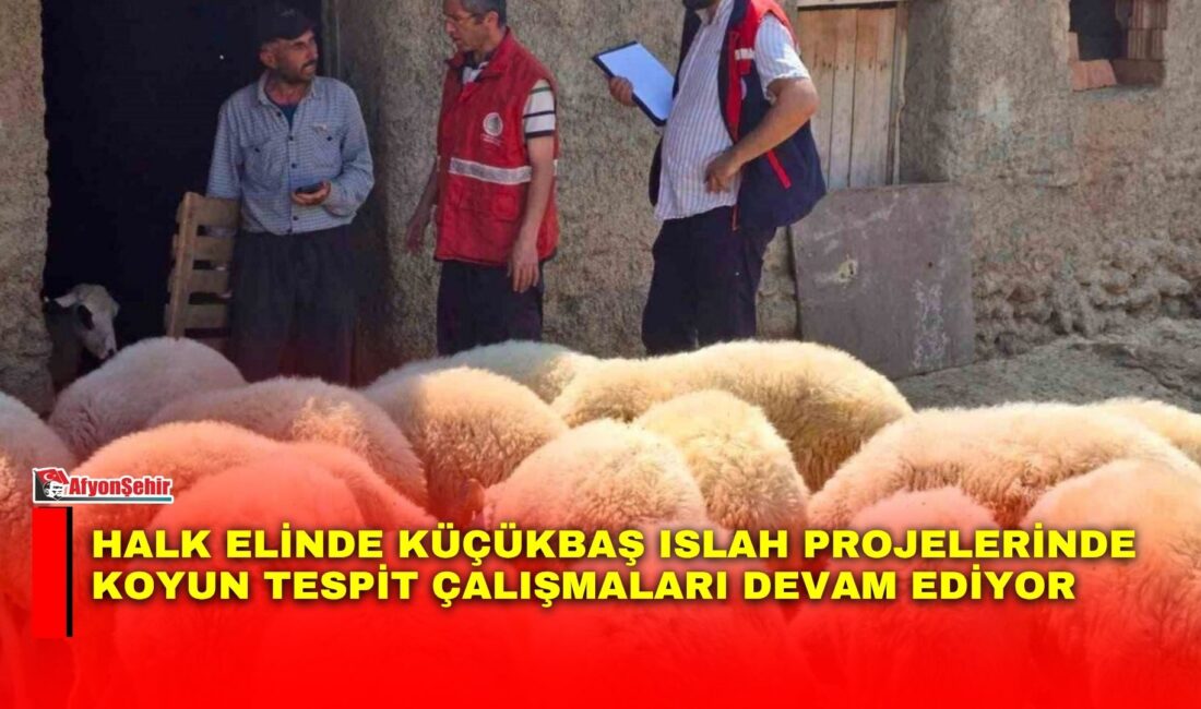 Afyonkarahisar Tarım ve Orman İl Müdürlüğü tarafından, hayvancılıkta verimliliğin ve
