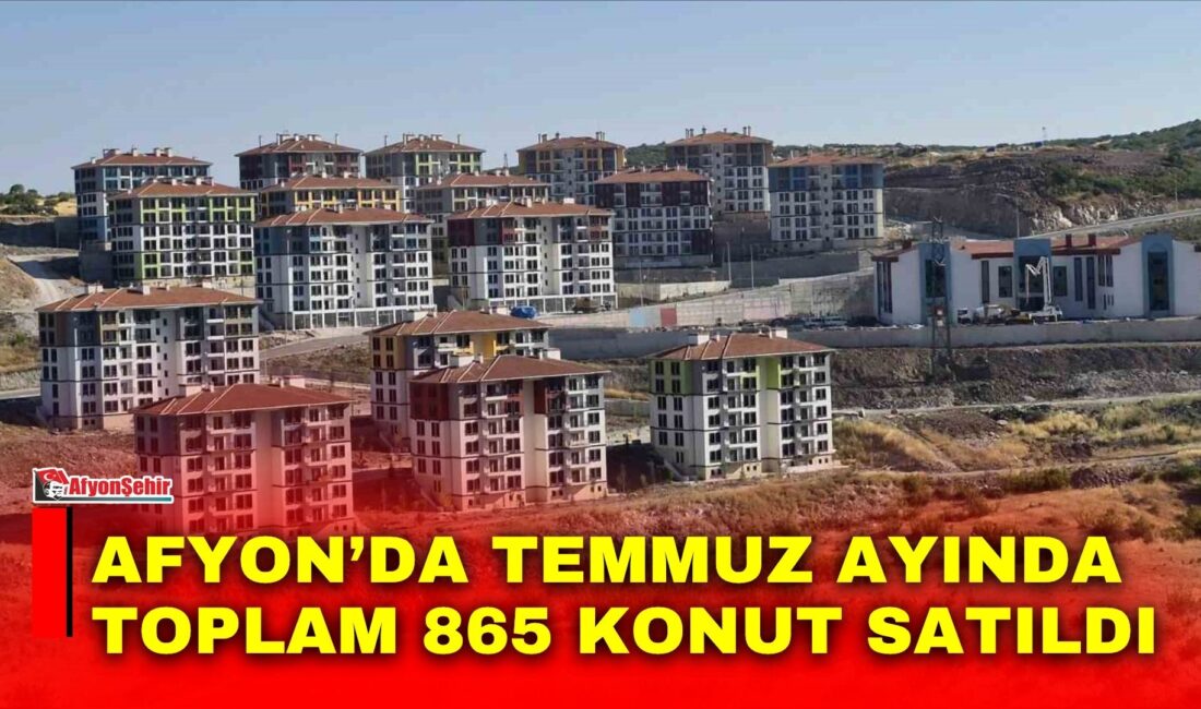 Afyonkarahisar’da temmuz ayında 865 konut ve 89 iş yeri satıldı.