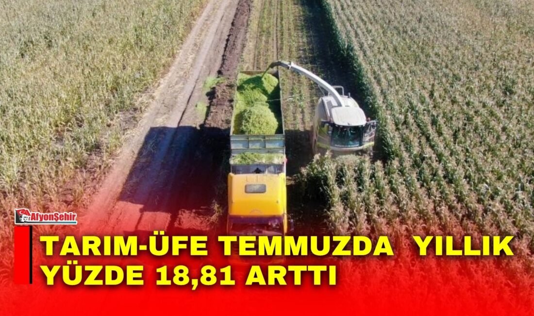 Türkiye İstatistik Kurumu (TÜİK), 2026 yılı Temmuz ayına ilişkin Tarım