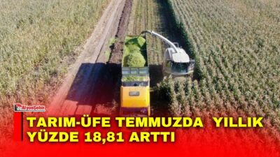 Türkiye İstatistik Kurumu (TÜİK), 2026 yılı Temmuz ayına ilişkin Tarım