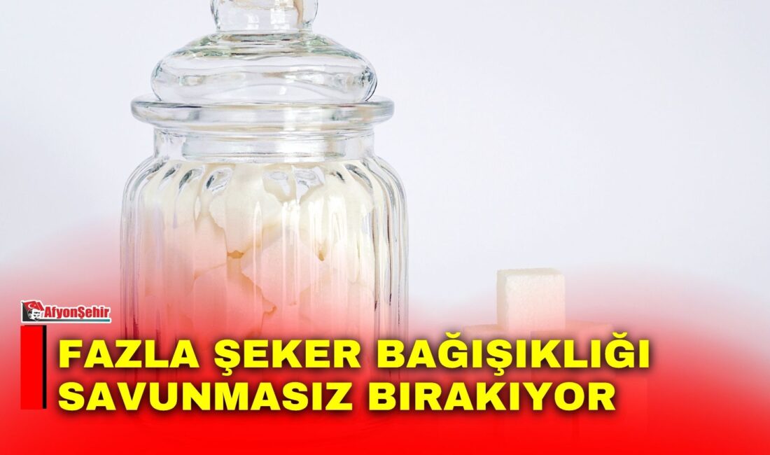 Bağışıklık sistemimizin sağlığını korumak, genel iyilik halimiz için kritik bir
