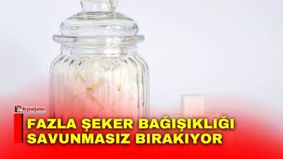 Bağışıklık sistemimizin sağlığını korumak, genel iyilik halimiz için kritik bir