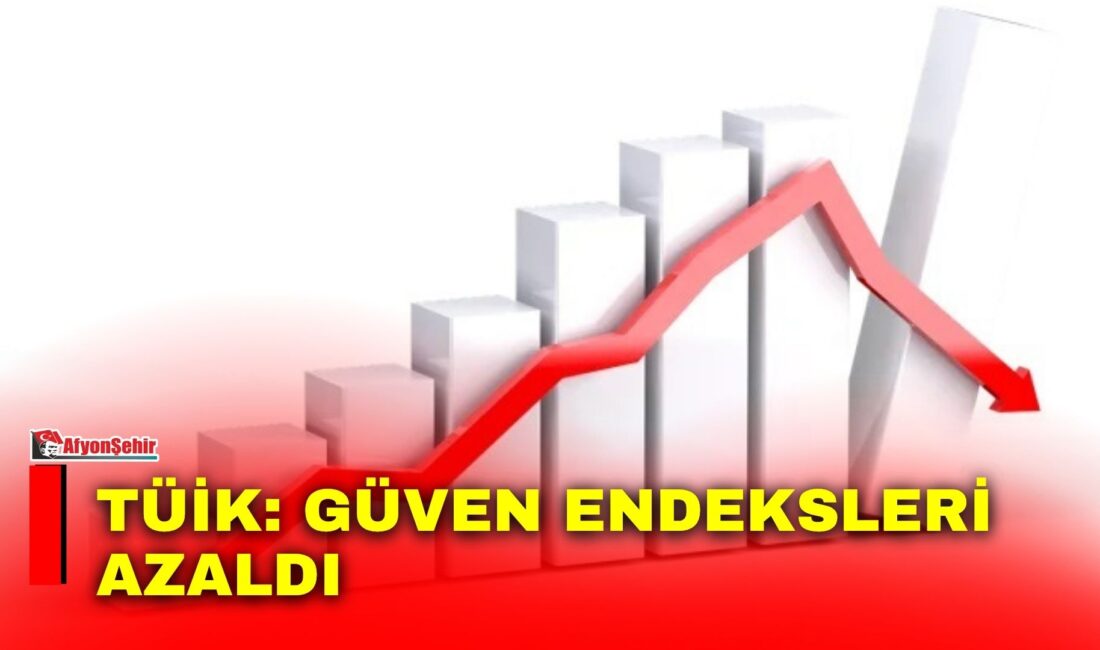 Türkiye İstatistik Kurumu (TÜİK), Ağustos ayına ilişkin Hizmet, Perakende Ticaret