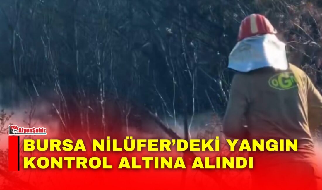 Orman Genel Müdürlüğü, Bursa’nın Nilüfer ilçesinde orman dışı alanda çıkan