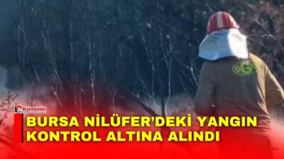 Orman Genel Müdürlüğü, Bursa’nın Nilüfer ilçesinde orman dışı alanda çıkan