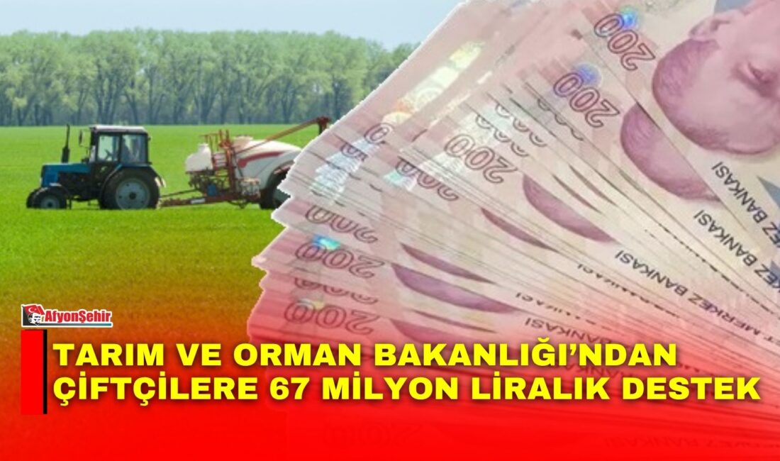 Tarım ve Orman Bakanlığı, üreticilere yönelik toplam 67 milyon liralık