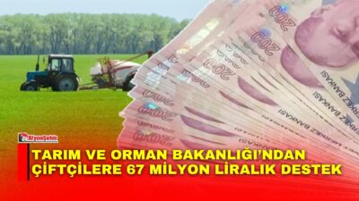 Tarım ve Orman Bakanlığı, üreticilere yönelik toplam 67 milyon liralık