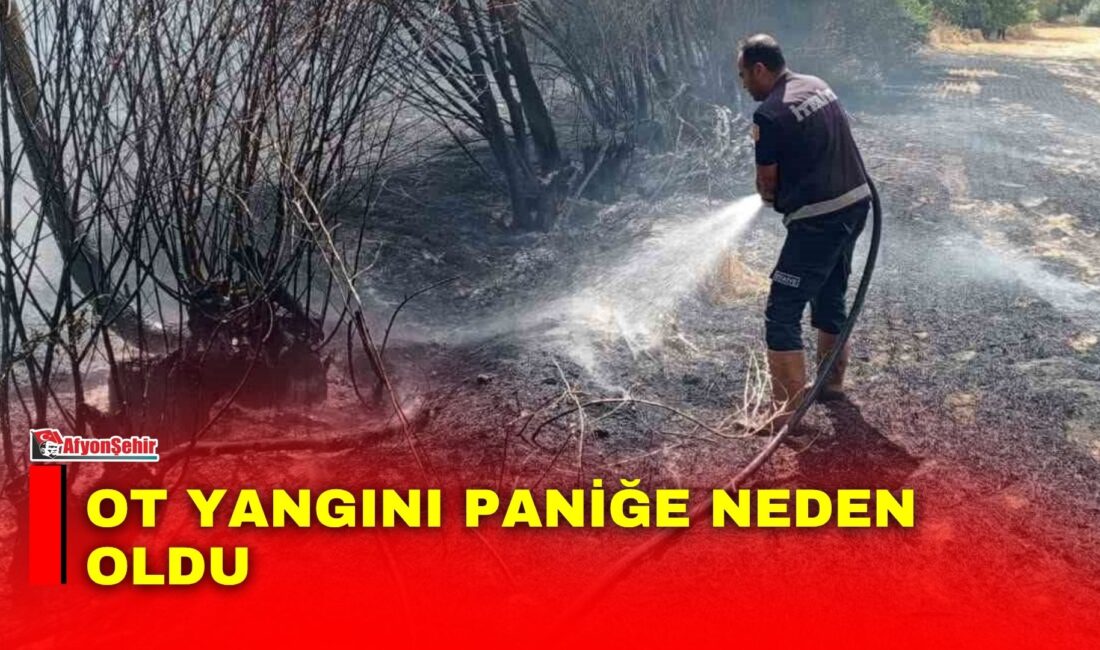 Afyonkarahisar’ın Şuhut ilçesinde çıkan ot yangını, itfaiye ekiplerinin müdahalesiyle büyümeden