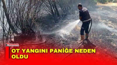Afyonkarahisar’ın Şuhut ilçesinde çıkan ot yangını, itfaiye ekiplerinin müdahalesiyle büyümeden