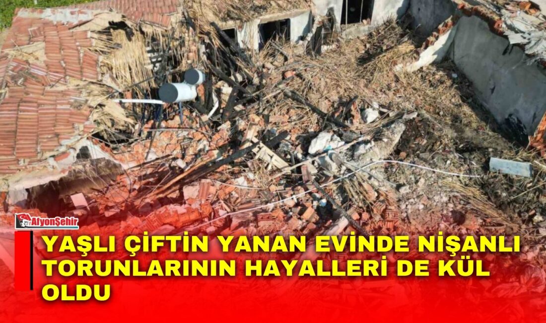 Afyonkarahisar’ın Bolvadin ilçesinde çıkan yangında müstakil ev ve içerisindeki tüm