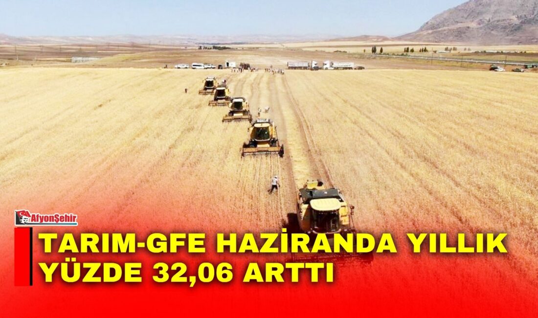 Tarım-GFE'de 2026 yılı Haziran ayında bir önceki aya göre yüzde