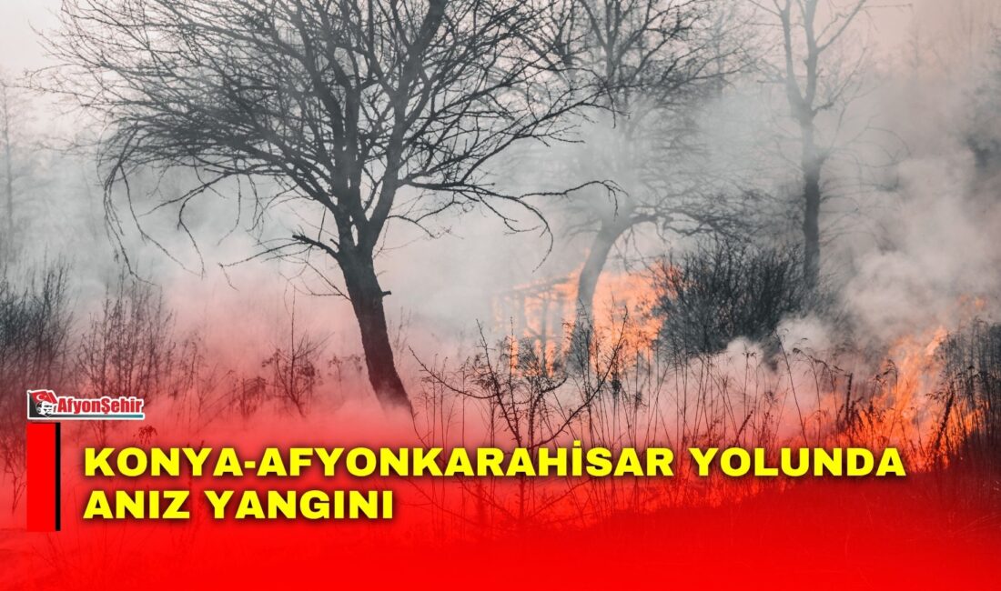 Konya-Afyonkarahisar yolunun 15. kilometresinde anız yangını çıktı. Henüz belirlenemeyen nedenle