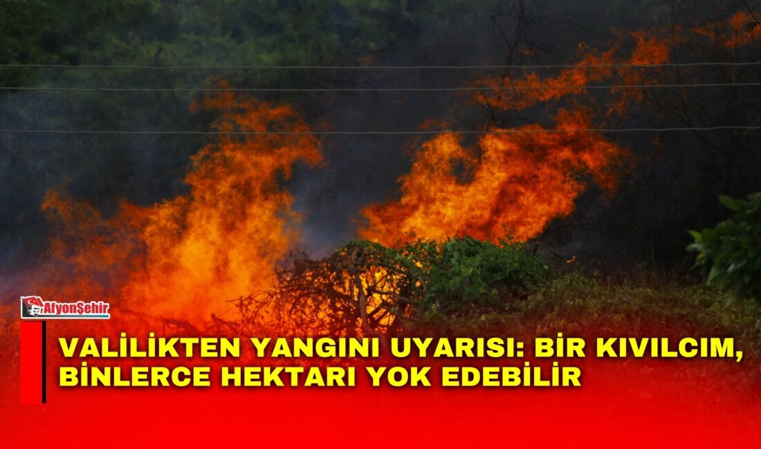 Afyonkarahisar Valiliği, artan yangın riskine karşı vatandaşlara anız yakmamaları yönünde