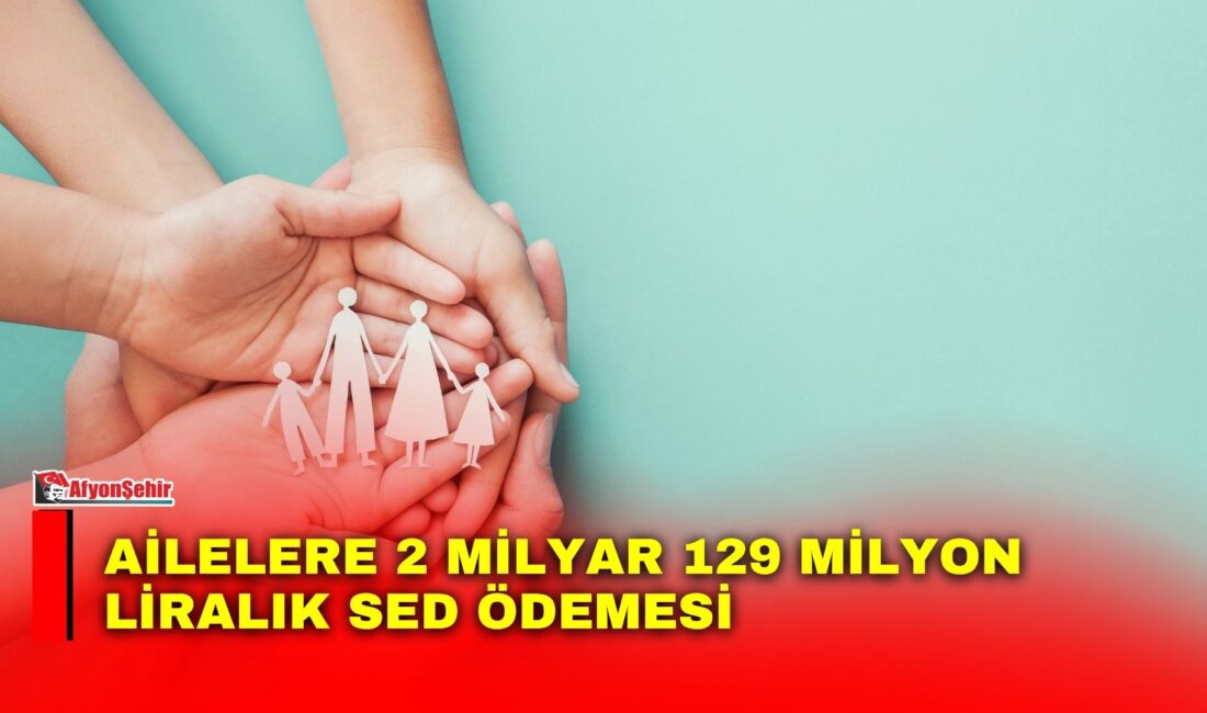 Aile ve Sosyal Hizmetler Bakanlığı, Sosyal ve Ekonomik Destek (SED)