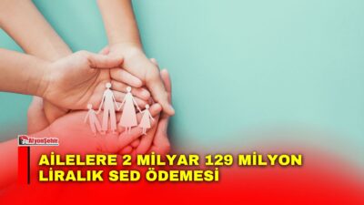Aile ve Sosyal Hizmetler Bakanlığı, Sosyal ve Ekonomik Destek (SED)