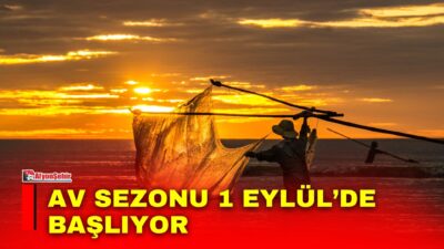 Denizlerde av yasağının 1 Eylül itibarıyla sona ermesiyle birlikte yeni