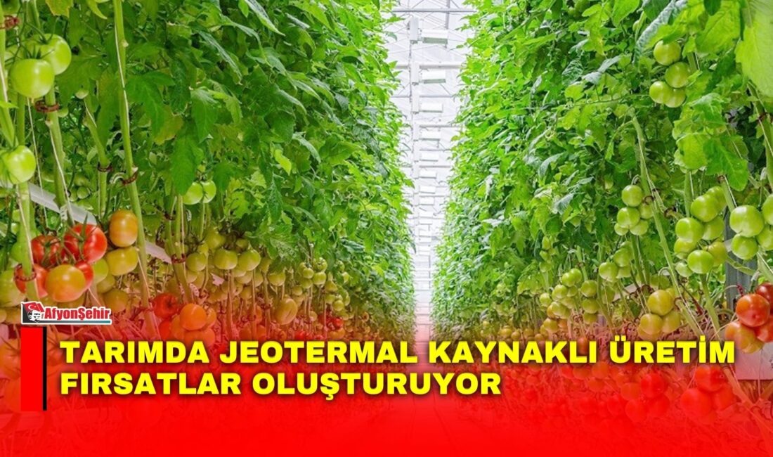 Afyon’da bulunan jeotermal kaynaklar, tarımsal üretimde yeni fırsatlar oluşturuyor. Jeotermal