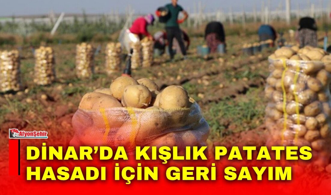 Dinar ve ilçeye bağlı Çölovası’nda kışlık patates hasadı için geri