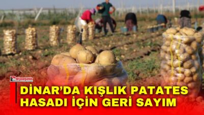 Dinar ve ilçeye bağlı Çölovası’nda kışlık patates hasadı için geri