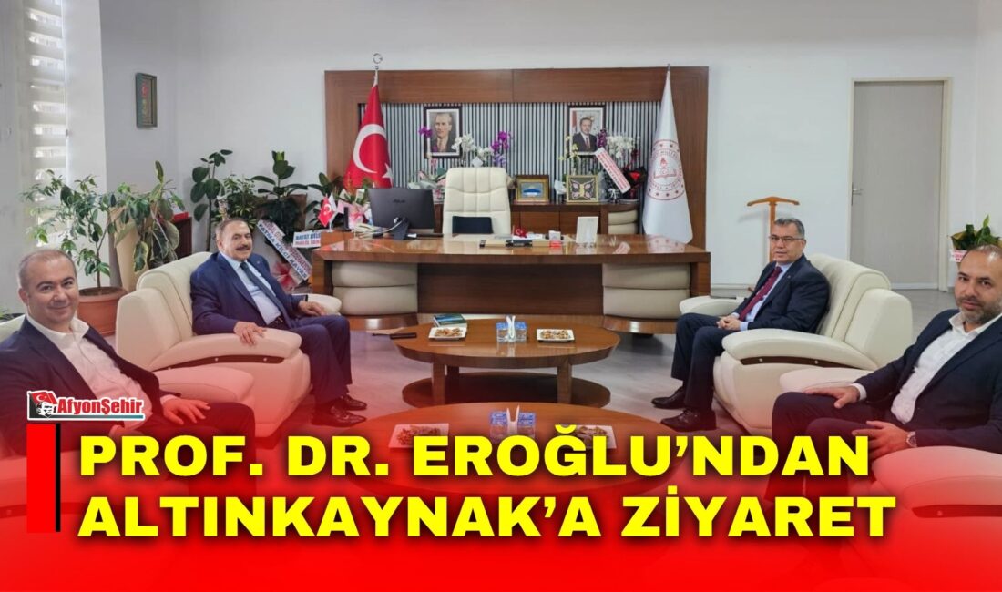 Eski Orman ve Su İşleri Bakanı, Cumhurbaşkanı Irak Özel Temsilcisi