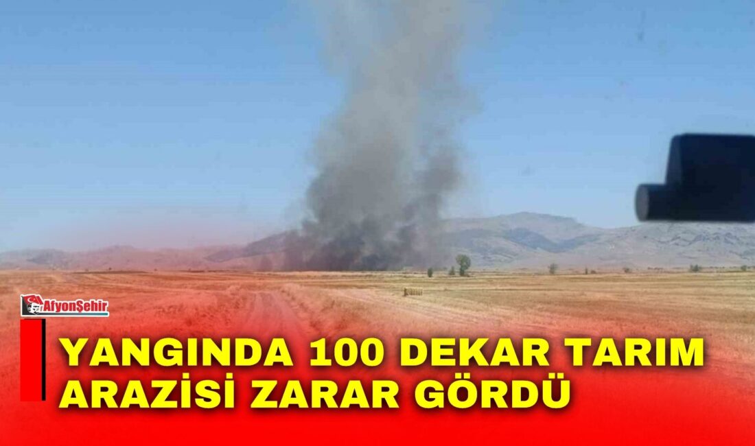 Afyonkarahisar’ın Sandıklı ilçesine bağlı Gökçealan köyü yakınlarında çıkan anız yangınında