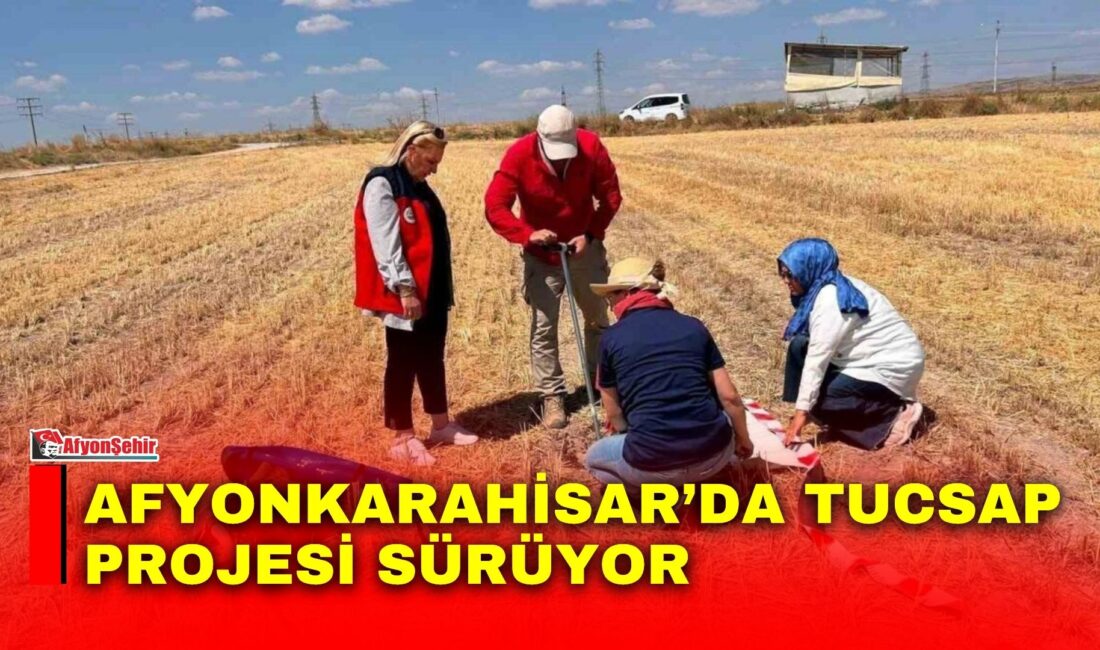 Türkiye İklim Akıllı ve Rekabetçi Tarımsal Büyüme Projesi’nin (TUCSAP) projesi