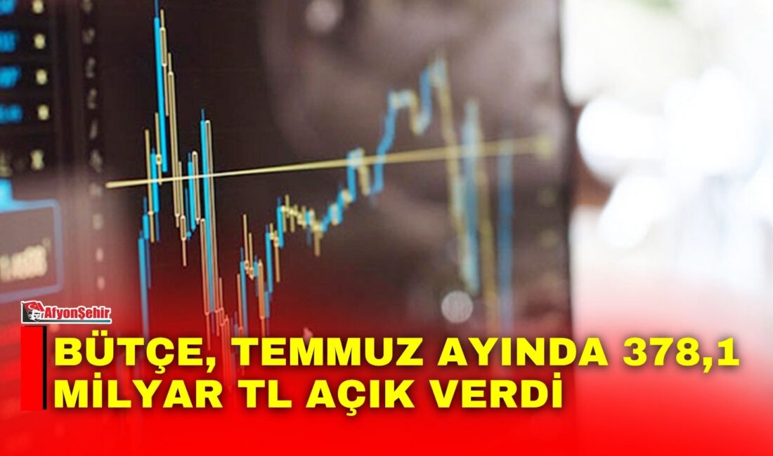 Hazine ve Maliye Bakanlığı, Temmuz ayı Merkezi Yönetim Bütçe Gelişmeleri’ni