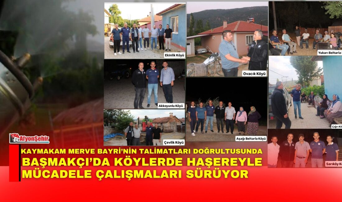 Başmakçı’da köylerde haşereyle mücadele çalışmaları sürüyor Başmakçı Kaymakamlığı koordinesinde ilçeye bağlı köylerde sivrisinek ve diğer uçkun