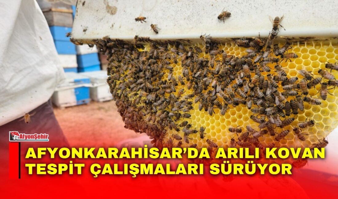 Afyonkarahisar İl Tarım ve Orman Müdürlüğü tarafından kent genelindeki arılı