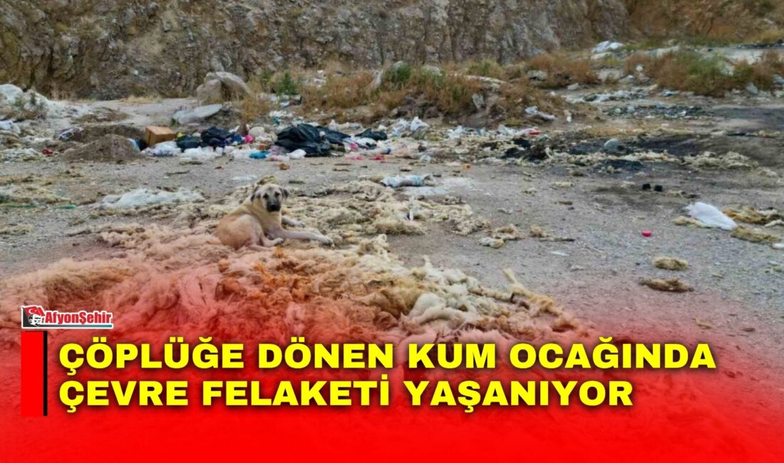 Afyonkarahisar’ın Bolvadin ilçesindeki eski ve atıl durumdaki kum ocağı, kimliği