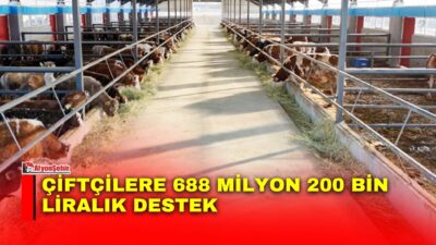 Tarım ve Orman Bakanı İbrahim Yumaklı, 688 milyon 200 bin