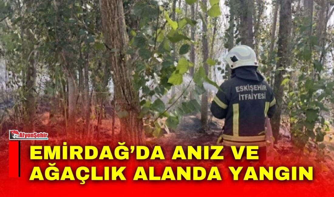 Emirdağ’da anız ve ağaçlık alanda yangın Afyonkarahisar’ın Emirdağ ilçesine bağlı Salihler köyü kırsalında anız ve ağaçlık
