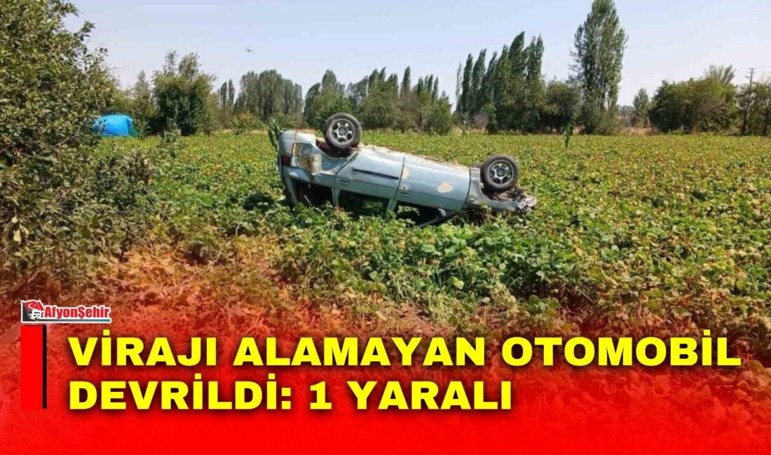 Afyonkarahisar’ın Şuhut ilçesinde, virajı alamayan otomobilin kontrolden çıkarak devrilmesi sonucu