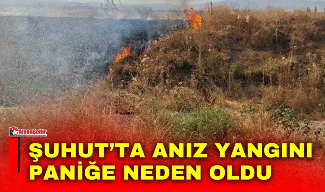 Afyonkarahisar’ın Şuhut ilçesine bağlı Güneytepe köyünde çıkan arazi yangını, itfaiye