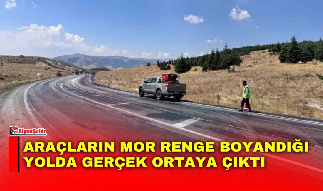 Afyonkarahisar’ın Dinar-Çay karayolunda yola dökülen ve yoldan geçen araçların mor