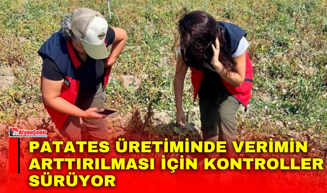 Afyonkarahisar Tarım ve Orman İl Müdürlüğü tarafından patates üretiminde verim