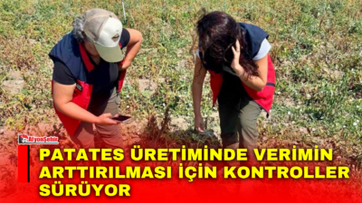 Afyonkarahisar Tarım ve Orman İl Müdürlüğü tarafından patates üretiminde verim