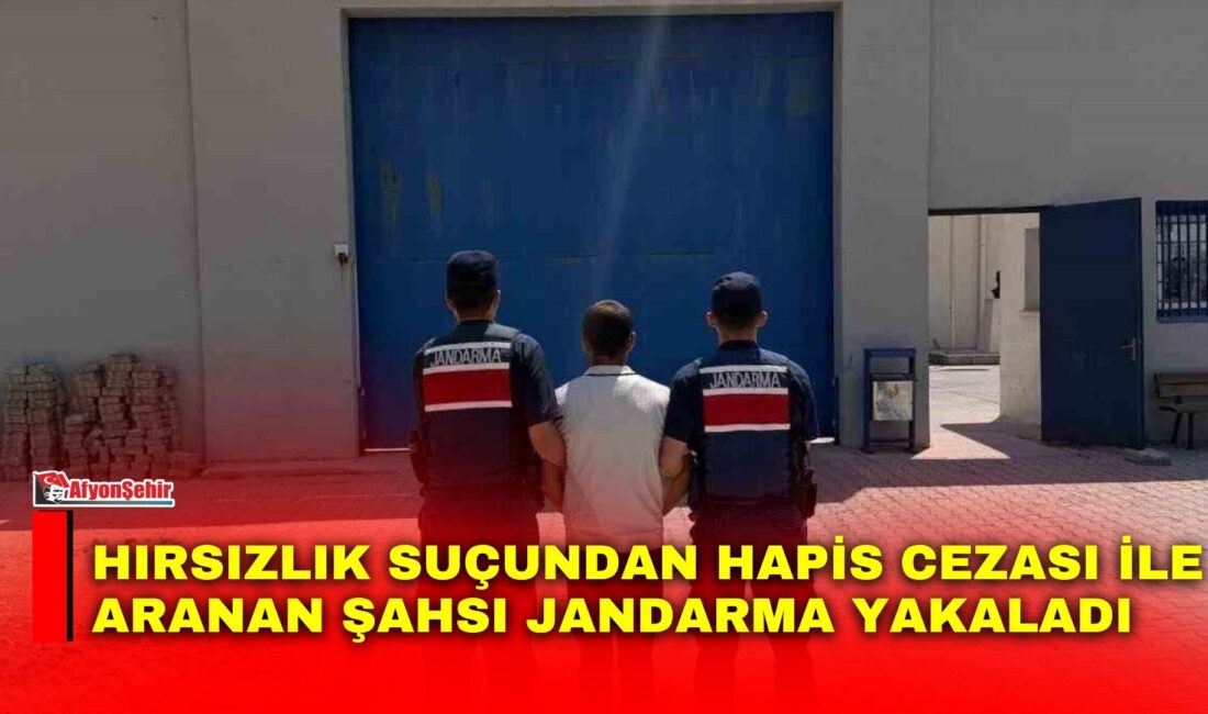 Hırsızlık suçundan hapis cezası ile aranan şahsı jandarma yakaladı Afyonkarahisar’da hırsızlık suçundan 10 yıl hapis cezasıyla aranan şahıs jandarma