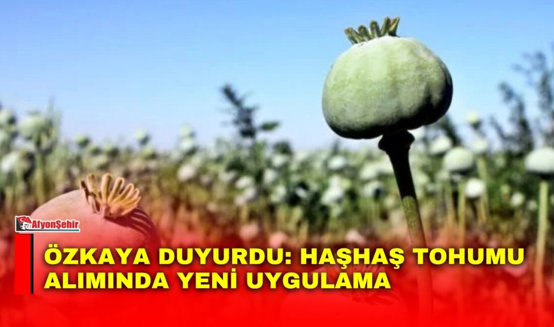 AK Parti Afyonkarahisar Milletvekili Ali Özkaya, 2026 yılı haşhaş tohumu